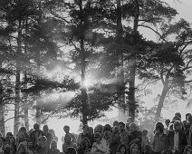 Kalvøya 19722   Kalvøyafestivalen : Kalvøyafestivalen