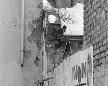 Katt - Rodeløkka 1976