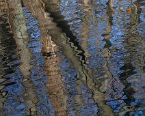 Frognerparken 2011