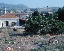 dias-002-17