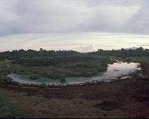 Aberdare National park. View from the Ark   Kenya : Kenya