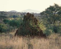 Samburu, Termite hill   Kenya : Kenya