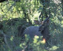 South Africa   Mthethomusha Game Reserve, South Africa : Mthethomusha Game Reserve, South Africa