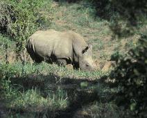 South Africa   Mthethomusha Game Reserve, South Africa : Mthethomusha Game Reserve, South Africa