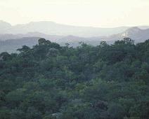 South Africa   Mthethomusha Game Reserve, South Africa : Mthethomusha Game Reserve, South Africa
