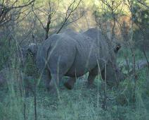 South Africa   Mthethomusha Game Reserve, South Africa : Mthethomusha Game Reserve, South Africa
