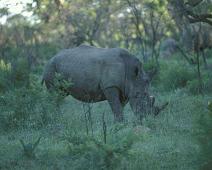 South Africa   Mthethomusha Game Reserve, South Africa : Mthethomusha Game Reserve, South Africa
