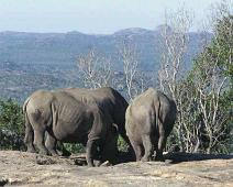 South Africa   Mthethomusha Game Reserve, South Africa : Mthethomusha Game Reserve, South Africa