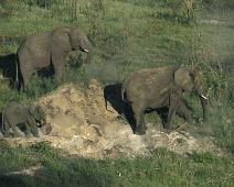 South Africa   Mthethomusha Game Reserve, South Africa : Mthethomusha Game Reserve, South Africa