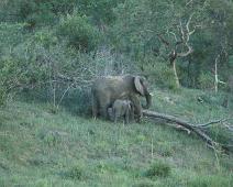 South Africa   Mthethomusha Game Reserve, South Africa : Mthethomusha Game Reserve, South Africa