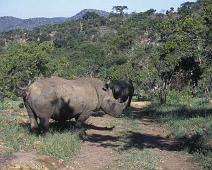 South Africa   Mthethomusha Game Reserve, South Africa : Mthethomusha Game Reserve, South Africa