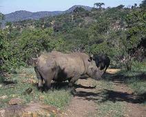 South Africa   Mthethomusha Game Reserve, South Africa : Mthethomusha Game Reserve, South Africa