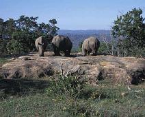 South Africa   Mthethomusha Game Reserve, South Africa : Mthethomusha Game Reserve, South Africa