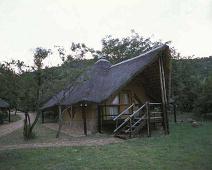 South Africa   Mthethomusha Game Reserve, South Africa : Mthethomusha Game Reserve, South Africa