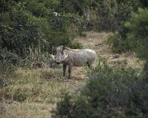 South Africa   South Africa : South Africa