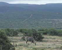 South Africa   South Africa : South Africa