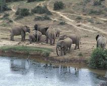 South Africa   South Africa : South Africa