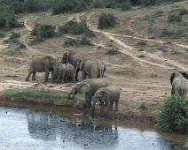 South Africa   South Africa : South Africa