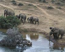 South Africa   South Africa : South Africa