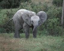 South Africa   South Africa : South Africa