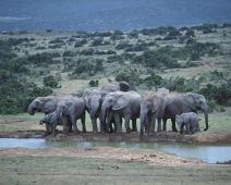 South Africa   South Africa : South Africa