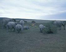 South Africa   South Africa : South Africa