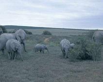 South Africa   South Africa : South Africa