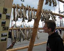 T�rrfisk, norsk stand