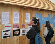 Norsk stand