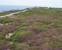 Cap de la Chevre