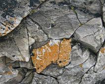 Cote du Granit Rose