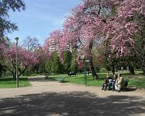 Jardins Vil-la Amelia