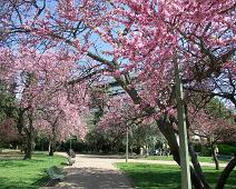Jardins Vil-la Amelia