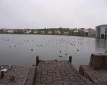 Tjörnin