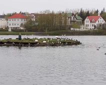Tjörnin