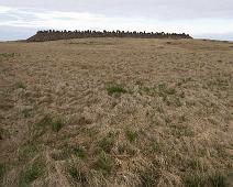 Kistufell