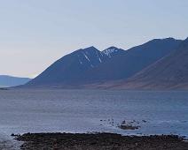 Arnarfjordur