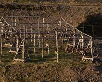 Patreksfjordur