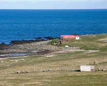 Hvallatrar