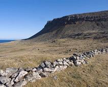 Hvallatrar