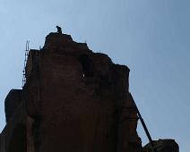 Terme di Caracalla   Rome : Rome