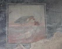 Herculaneum   Napoli : Napoli