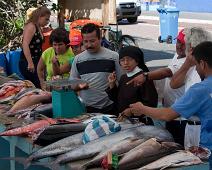 Fiskemarked   Puerto Ayora : Puerto Ayora
