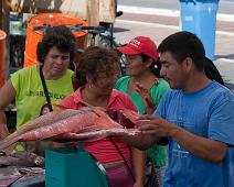 Fiskemarked   Puerto Ayora : Puerto Ayora