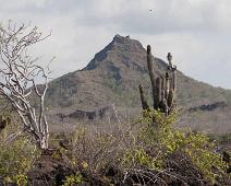 Cerro Dragon   Cerro Dragon, Santa Cruz Island : Cerro Dragon, Santa Cruz Island