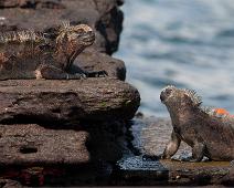 Haviguan   Haviguan, Santiago Island : Haviguan, Santiago Island