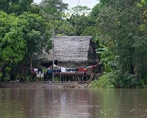 Langs Amazonas   Amazonas : Amazonas