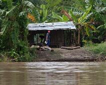 Langs Amazonas   Amazonas : Amazonas