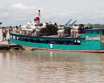 Transportav trekull   Amazonas : Amazonas