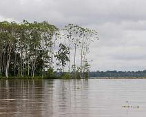 Langs Amazonas   Amazonas : Amazonas